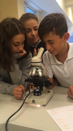 7.Sınıf Öğrencilerimiz Bitki Hücresini Mikroskopla İnceledi